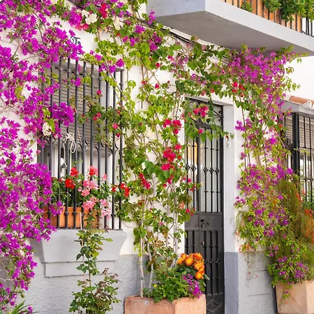 Apartment Luxury Duplex 106 Close To The