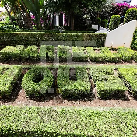 Luxury Duplex 106 Close To The