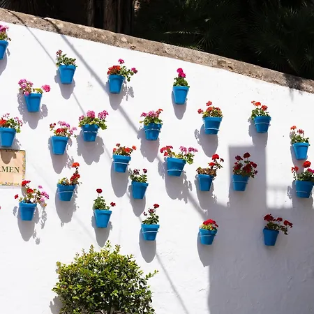 Appartement Luxury Duplex 106 Close To The *