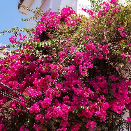 Luxury Duplex 106 Close To The