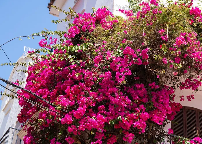 Luxury Duplex 106 Close To The